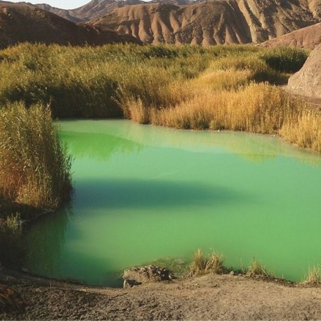 Database of Iranian regions with hydrotherapy properties(5)
