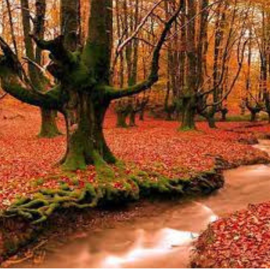 Database of Iranian regions with natural chromotherapy properties(3)