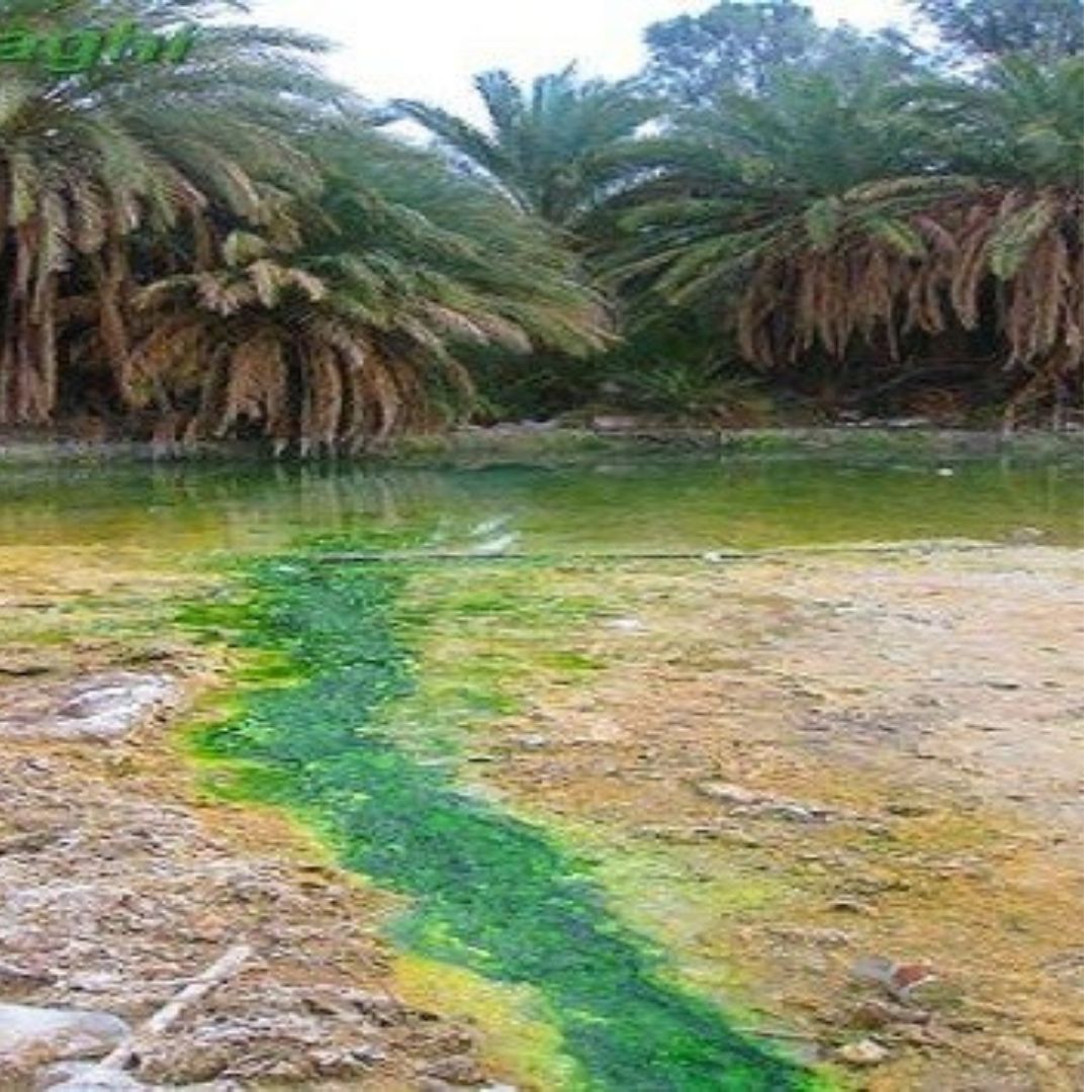 Database of Iranian regions with hydrotherapy properties(4)