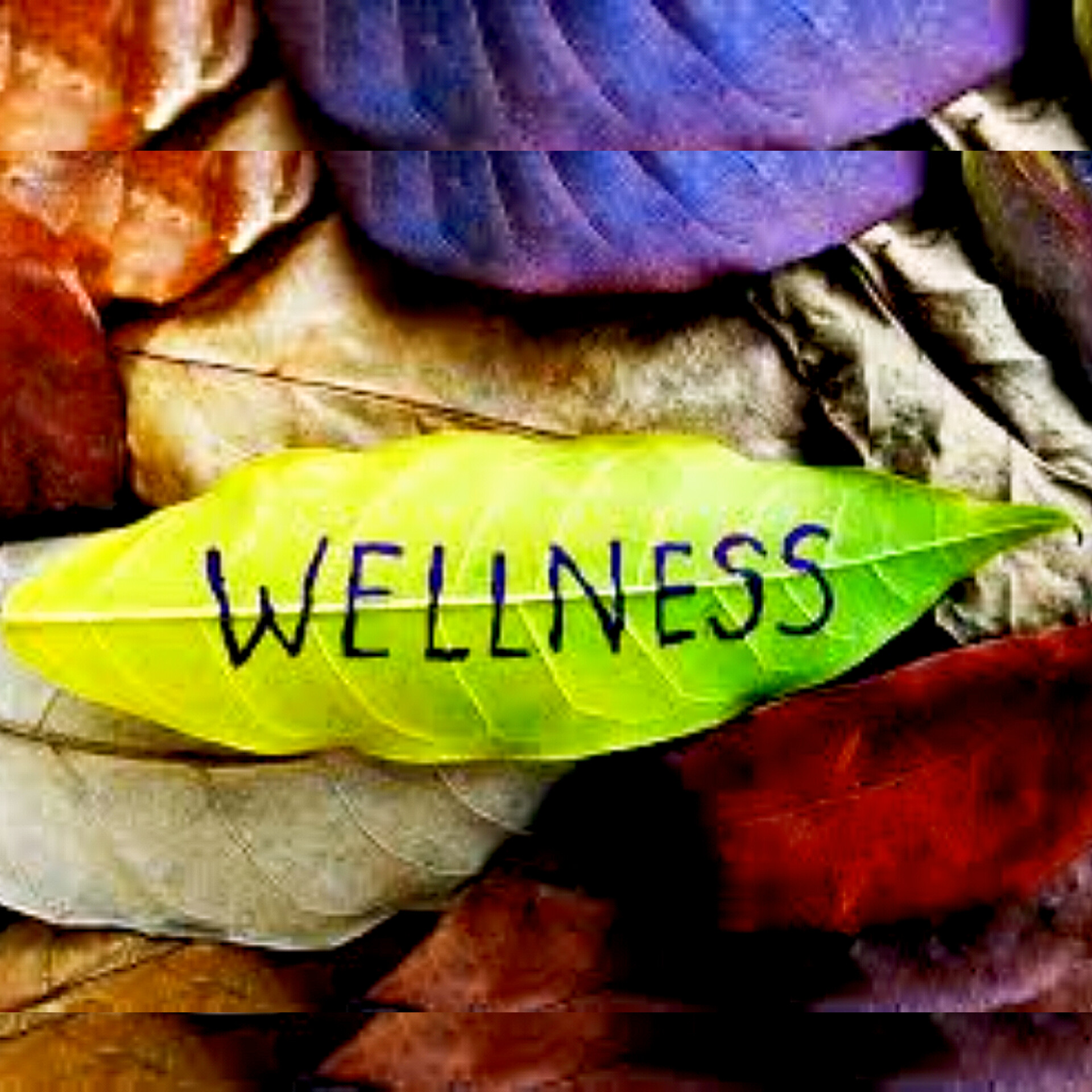 The concept of wellness