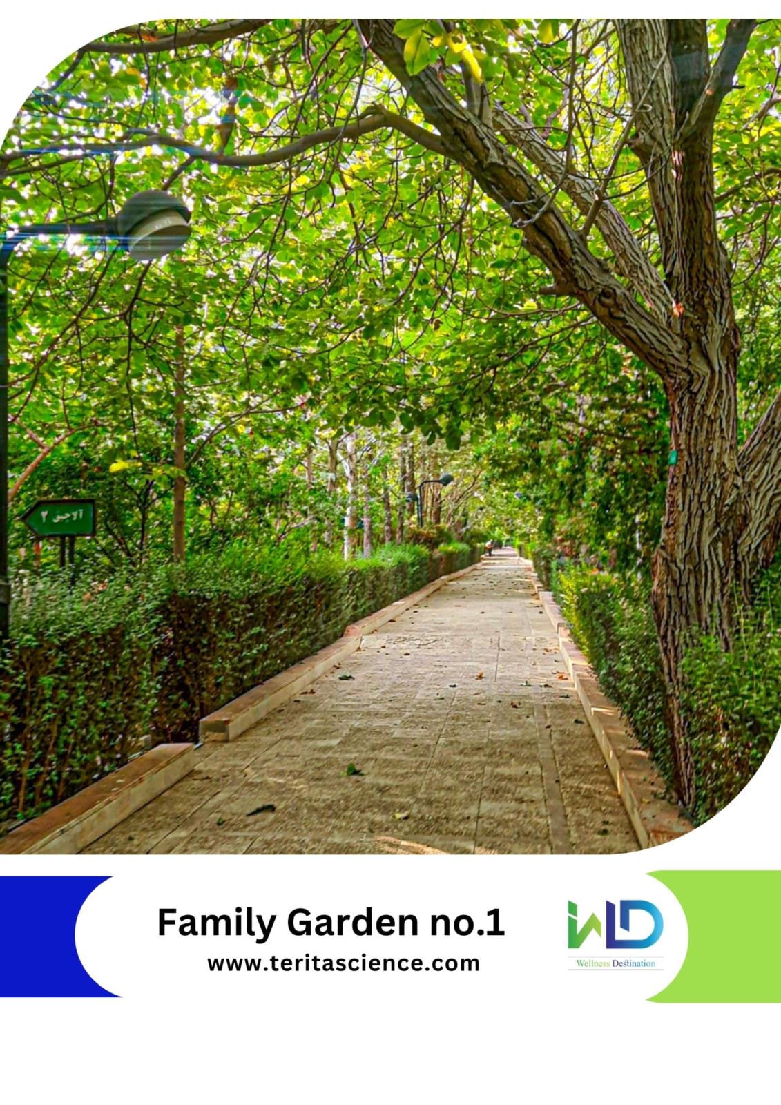 Family Garden no.1